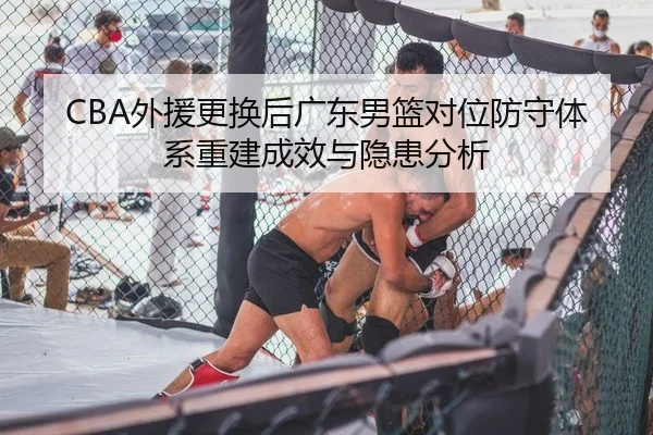 wai-yuan-geng-huan-hou-guang-dong-nan-lan-dui-wei-fang-shou-ti-xi-chong-jian-cheng-xiao-yu-yin-huan-fen-xi-2-591.jpg